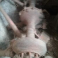 Thumbnail for the listing's main image